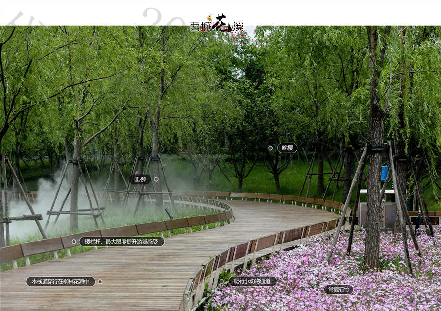 24_小南湖花路.jpg