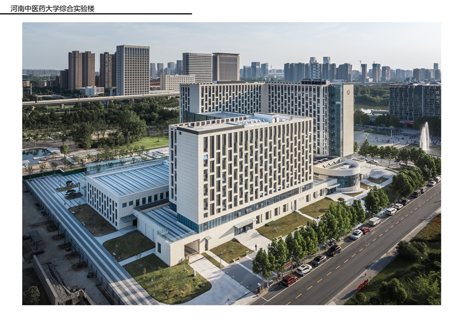 河南中医药报奖A3_2504143.jpg