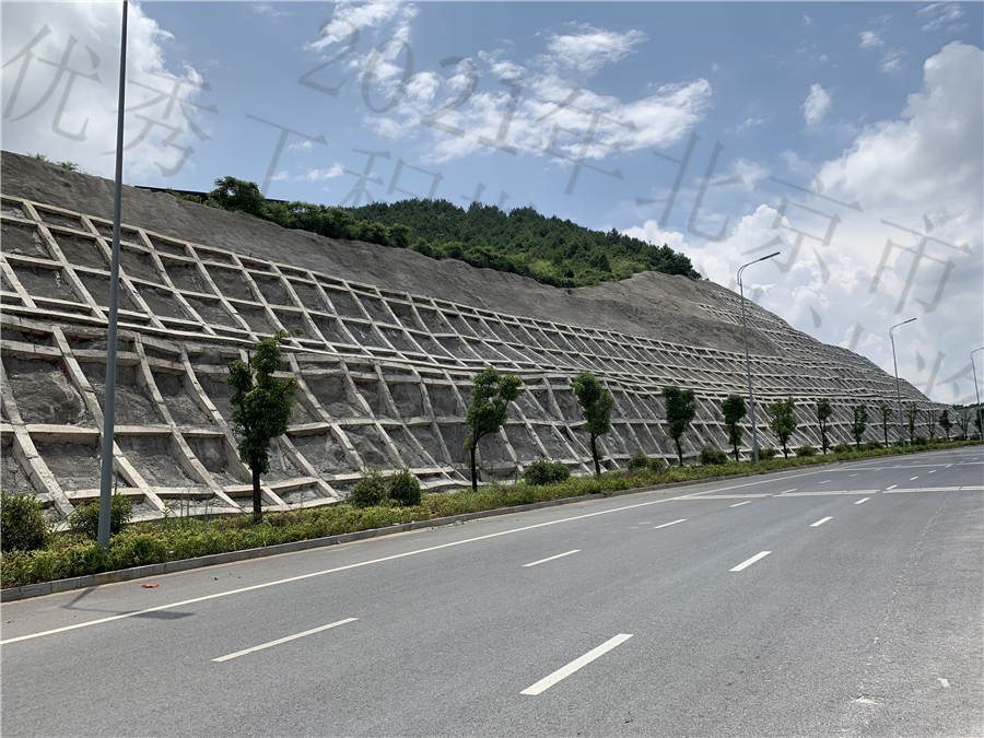 桃园大道深挖路堑段边坡防护.JPG