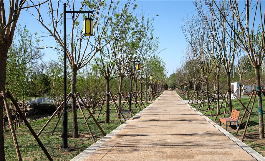 13.御道——南北向御道实景照片.jpg