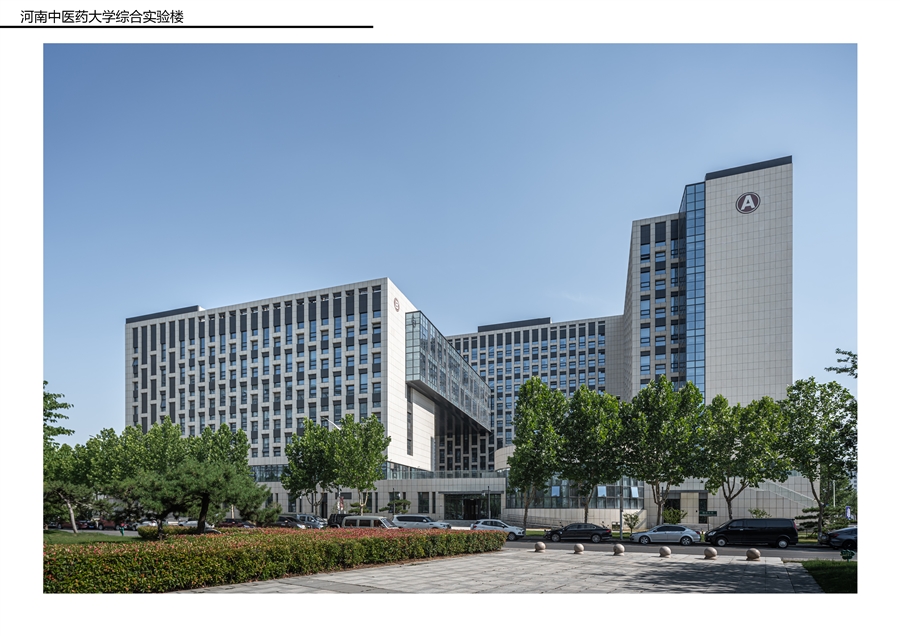 河南中医药报奖A3_2504144.jpg