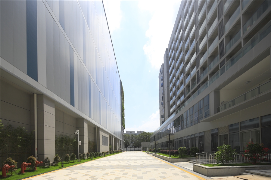 园区道路.JPG