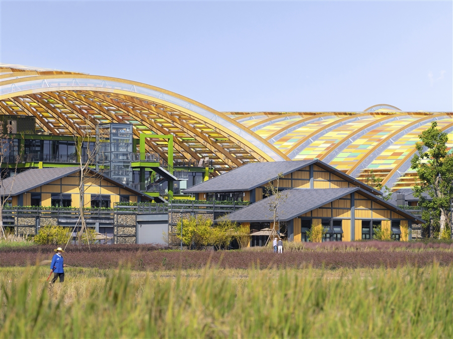 33_生长于大田的建筑_Architeture_Grow_in_Field（存在建筑_建筑摄影）.jpg