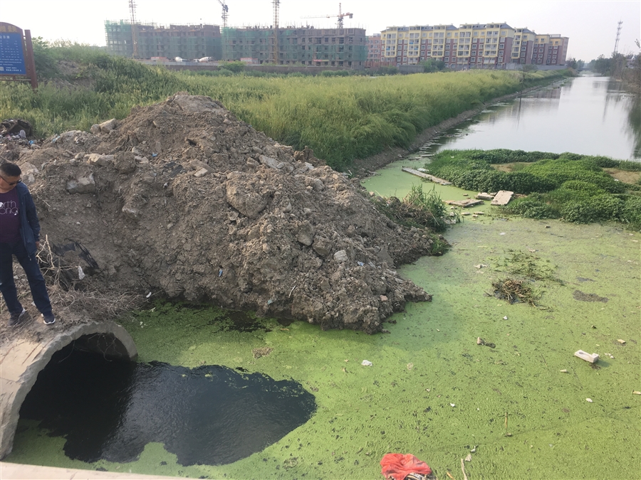 河道污染调研图2.JPG