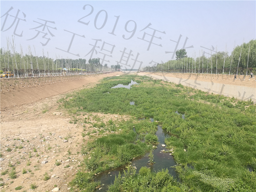 实施后的河道__16_.jpg