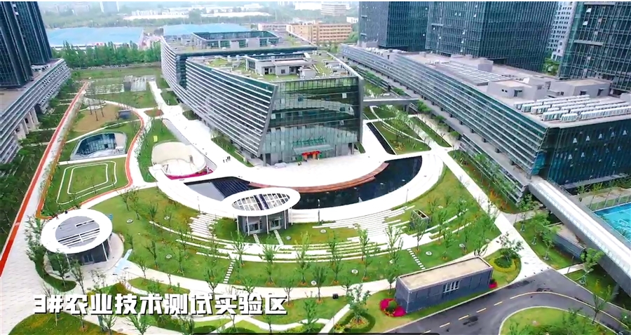 04_3_楼鸟瞰.jpg