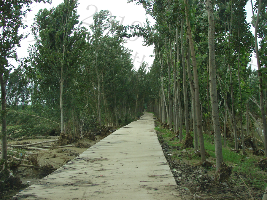 现状河道__1_.JPG