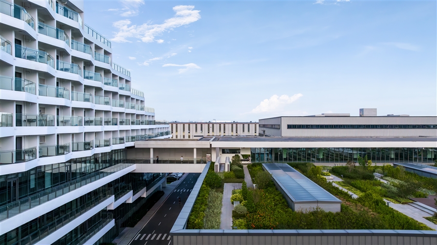 DJI_0816_已增强_NR.jpg