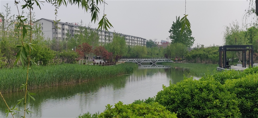 14_景观桥梁及景观亭.jpg