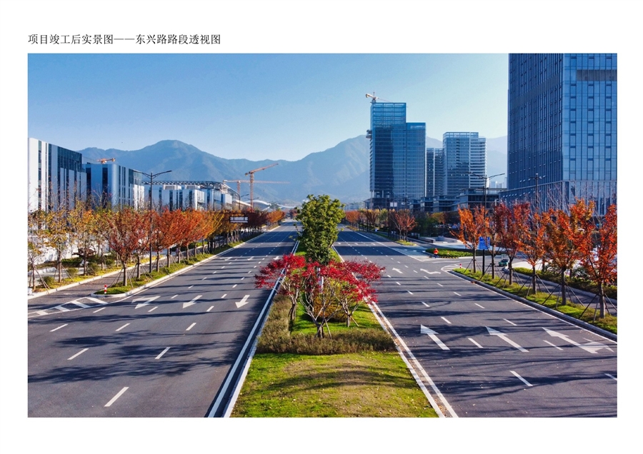 02项目竣工后实景图_东兴路路段透视图.jpg