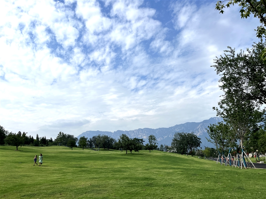 大周实景__6_.JPG
