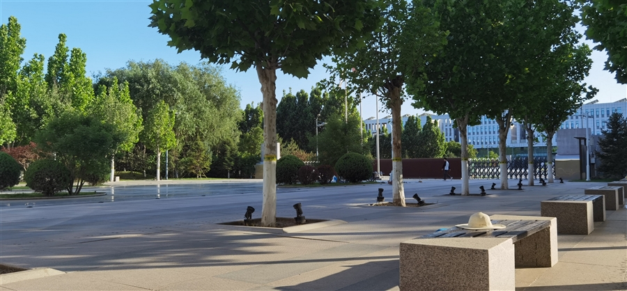 8双排树阵座凳及铺装图案烘托广场序列感.jpg