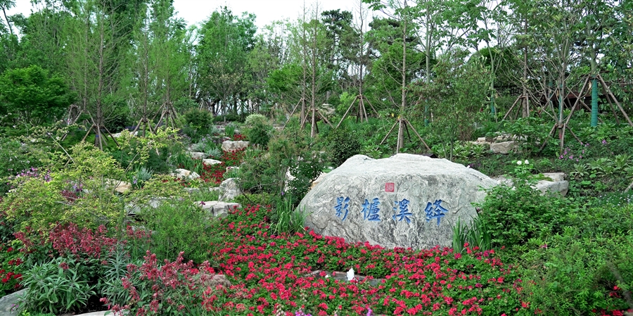 19_“绛溪栌影”景点建成实景.jpg