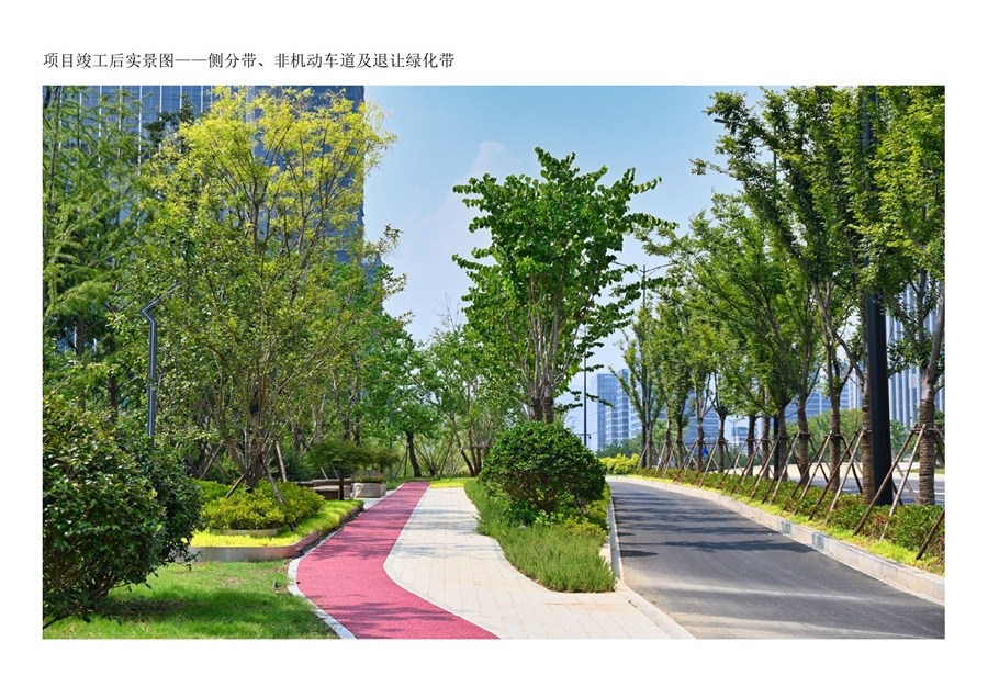 15项目竣工后实景图_侧分带、非机动车道及退让绿化带.jpg