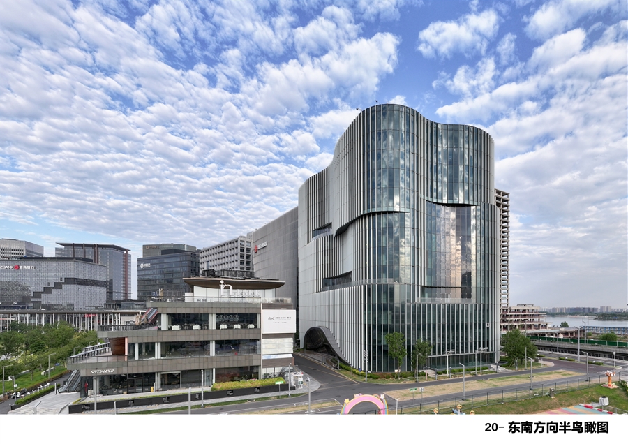 20_东南方向半鸟瞰图_.jpg