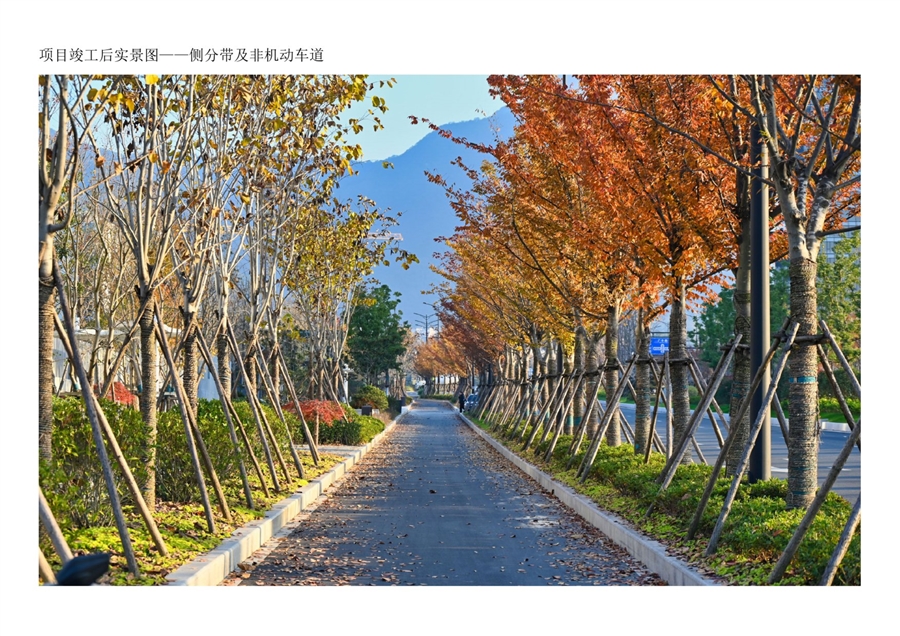 13项目竣工后实景图_侧分带及非机动车道.jpg