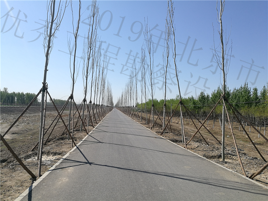 实施后的河道__13_.jpg