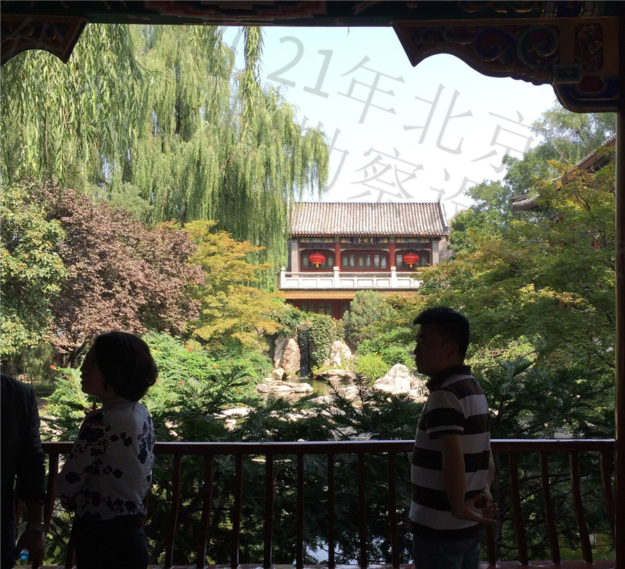 09中心庭院（旧）2017年8月14日.JPG