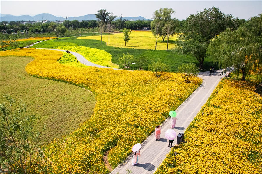 6.一亩园区域实景鸟瞰照片.jpg