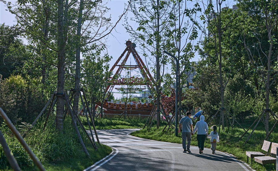 复层植被群落与活动空间融合.jpg
