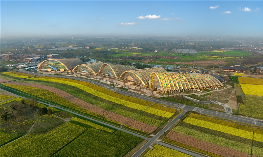 21_大田鸟瞰_Field_Bird_View（李季）.jpg
