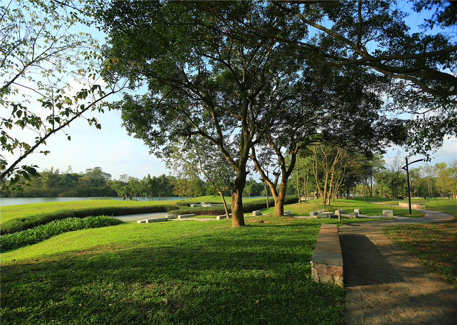 八尺江边缓坡草地.jpg